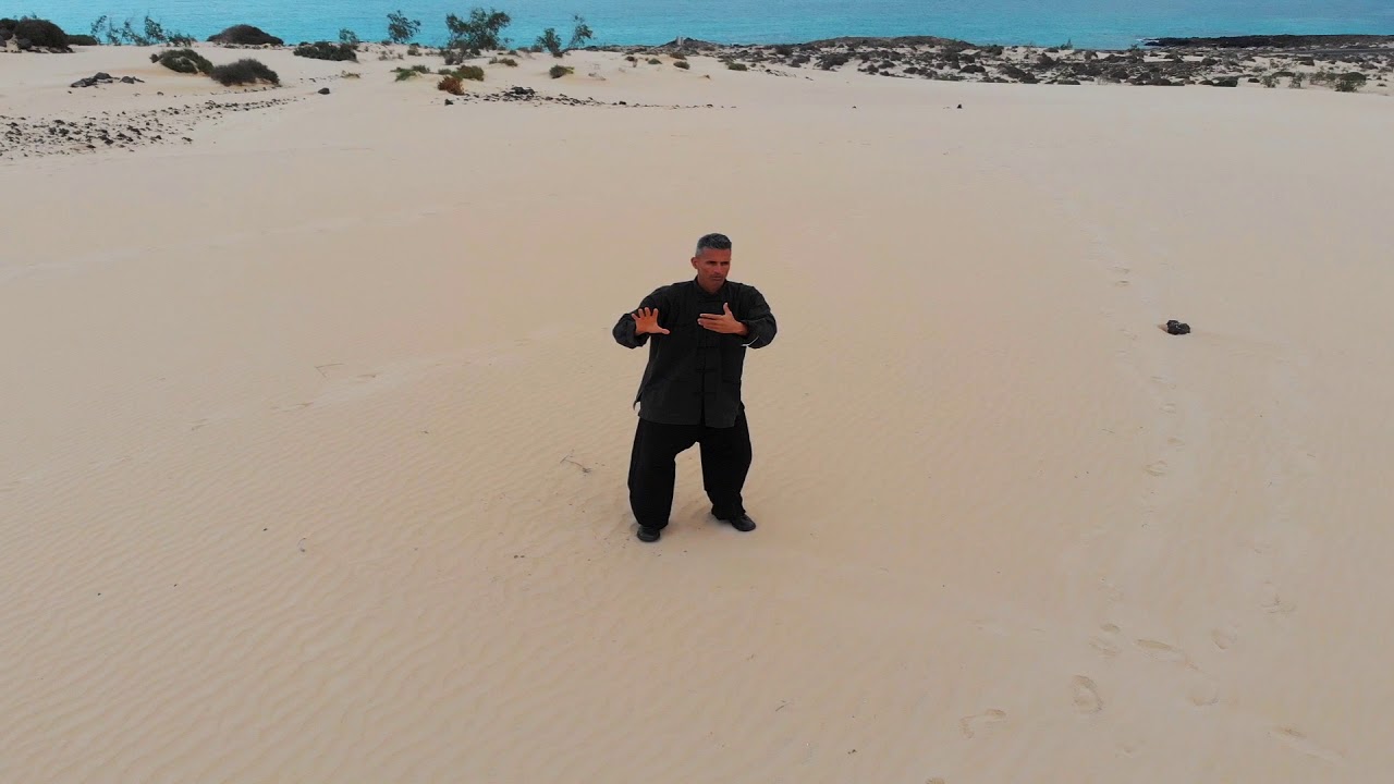 Primeros Movimientos Forma Wang Wei Guo Tai Chi Yang 108 camera iphone 8 plus apk