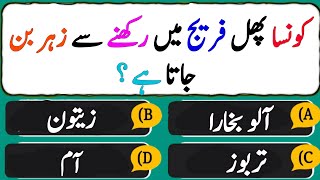 Urdu Islamic Quiz - Best Islamic Questions Answers - islamic Dilchasp Maloomat Hindi  - Deen Quiz screenshot 5