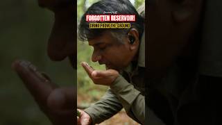 Using Moss for Water। #shorts#usa #survival