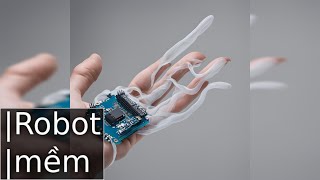 Bài Giảng: Soft Robotics - Robot Mềm: Cuộc Cách Mạng Công Nghệ screenshot 4