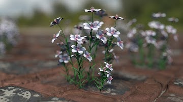 Flower Scene in Cinema 4d and Octane Render Tutorial