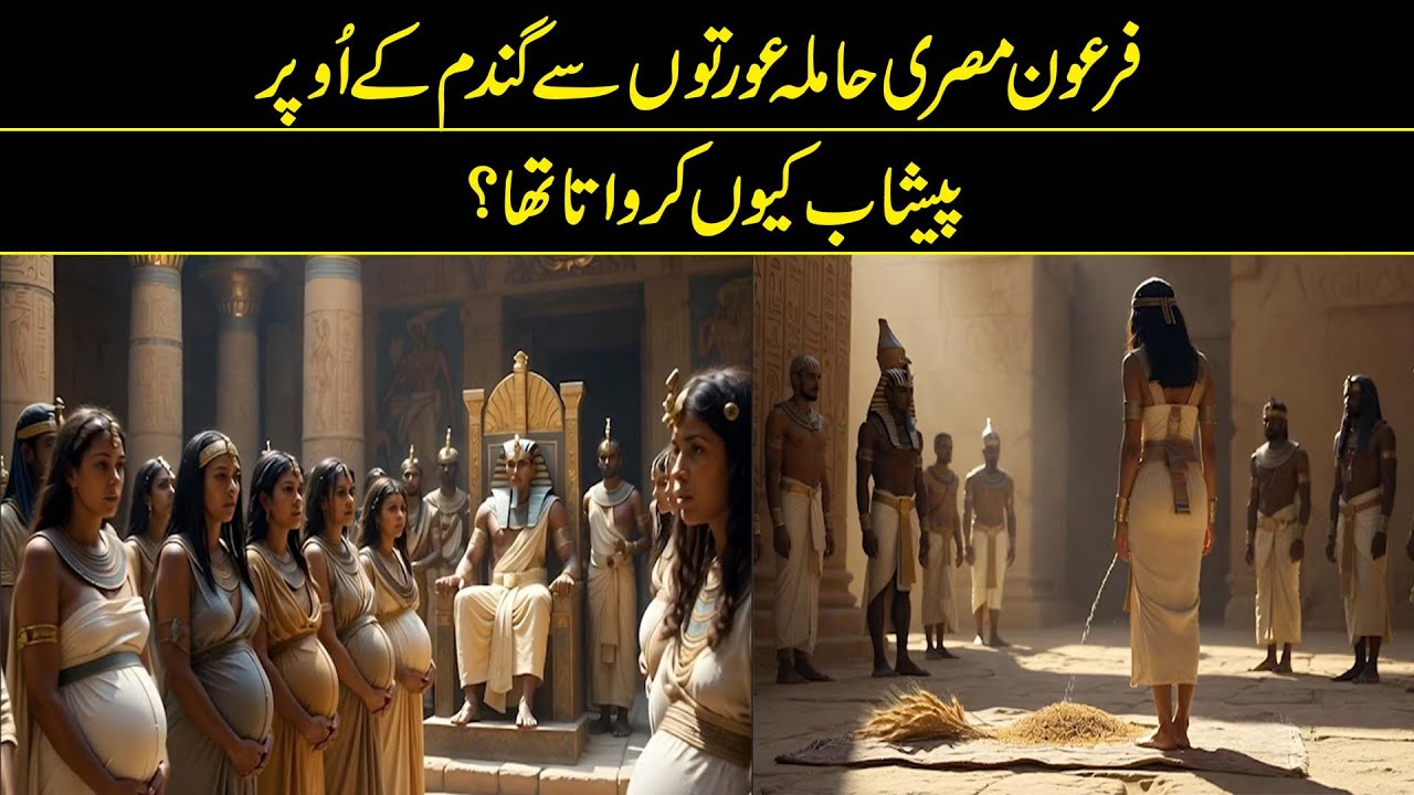 Why Were Frogs Put in Milk in Russia and Finland | Reality Facts