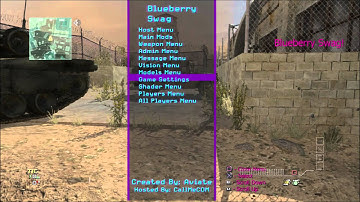 Mw3 Blue Berry Swag v1 Hosted By Me