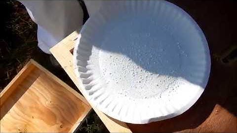 Sugar Shake Varroa Mite Check