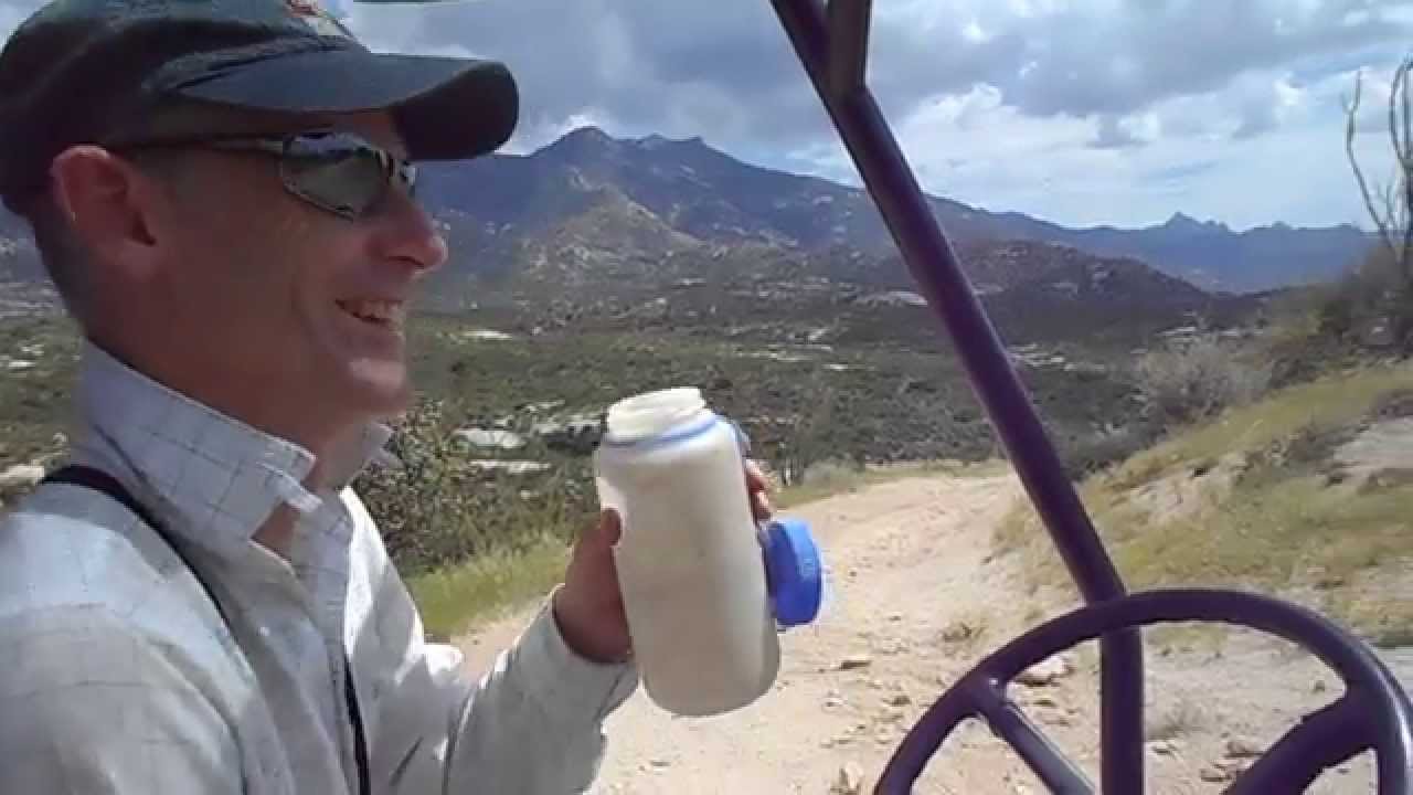 Yellow-billed Cuckoo Survey in Canyon del Oro 