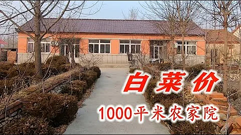 丹东农村1000平米农家院能卖多少钱？也有免费住的房子 你来吗 - 天天要闻