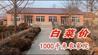 丹东农村1000平米农家院能卖多少钱？也有免费住的房子 你来吗