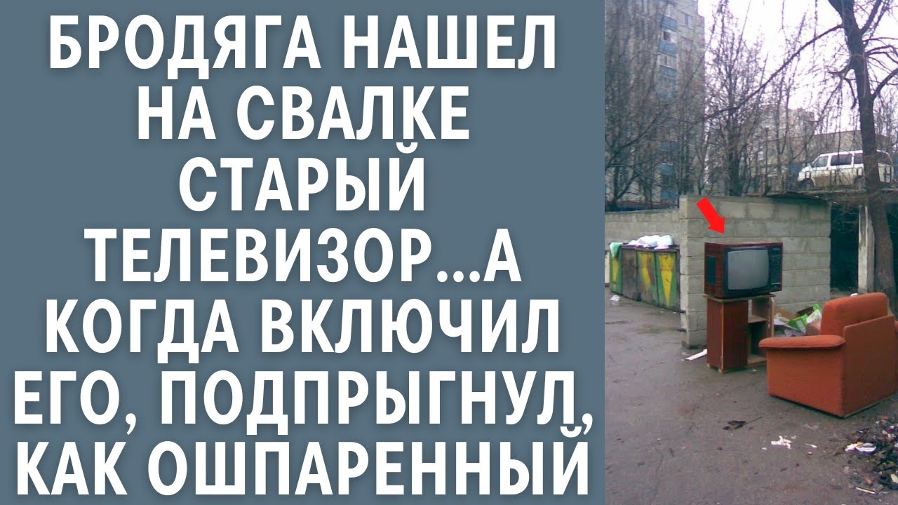 Что ответить бродяге успели или нет. Что ответить бродяге успели или нет