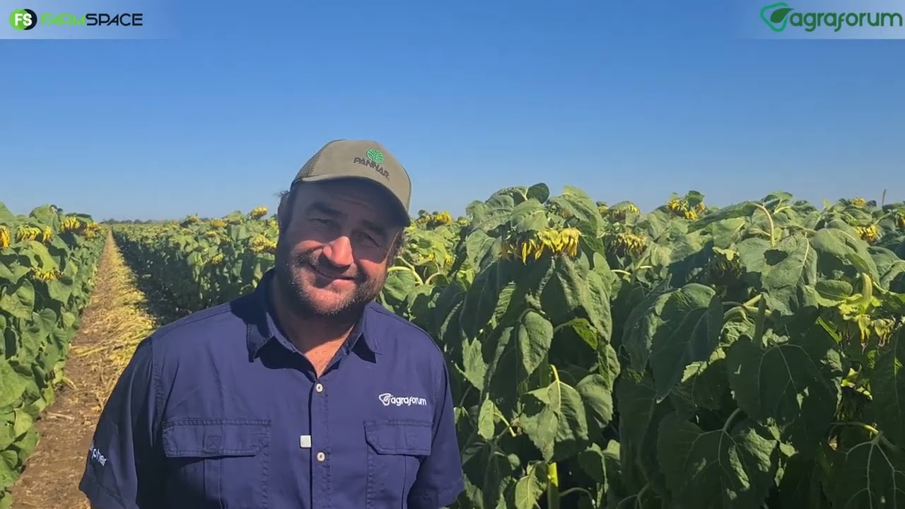 Hoe voeg AgraForum vir Genade Boerdery waarde toe? Gerhard verduidelik.
