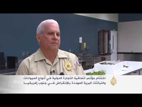 نباتات مهددة بالانقراض بسبب الاستغلال التجاري