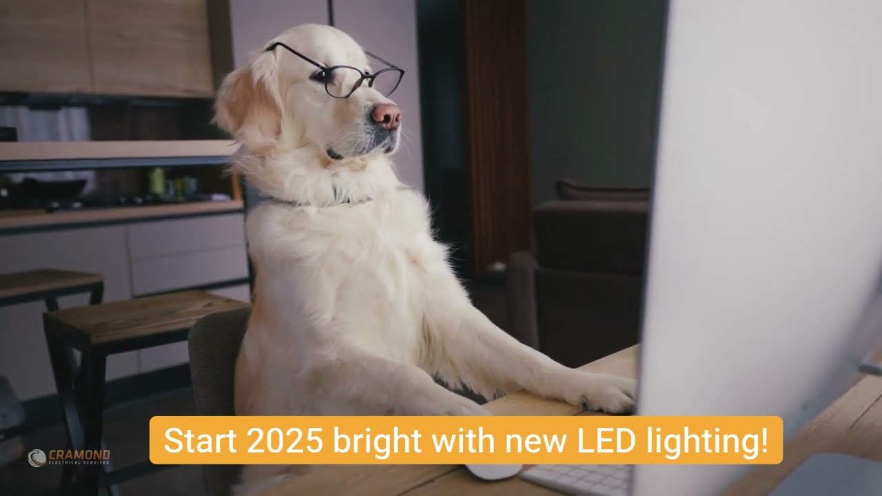 Start 2025 bright with new LED lighting. 💡