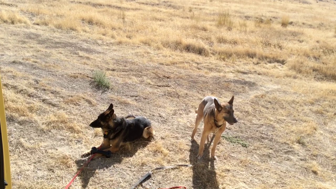 The Middle of Nowhere Nevada