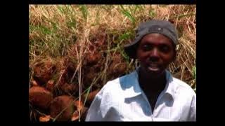 Calvin Maem & Bad Boys- Matata #music #song #venda #rhumba #guitar #dance #heritage