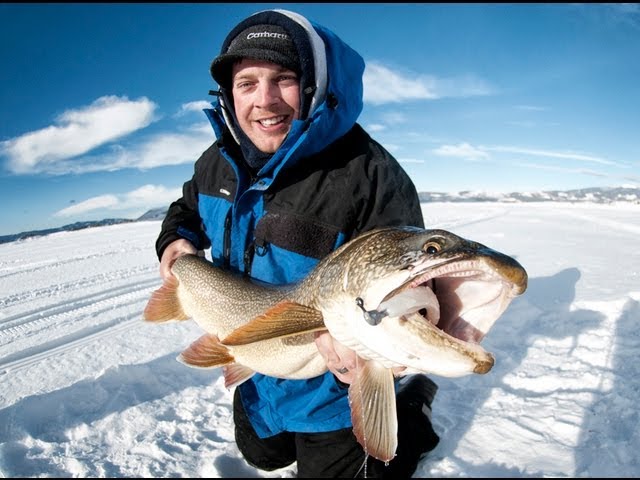 Lake Trout Ice Fishing: Monster 41 Lake Trout On Jigging Lures