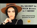 GROW THICK EYEBROWS IN ONE WEEK!