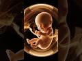 बच्चा गर्भ में जब लात मारता है....#pregnancytips #BabyMovement