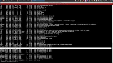Deploy wordpress using Ansible on DigitalOcean