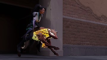 How to entry with Skye (Valorant 3D Animation)