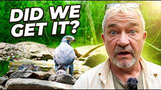 🔥2026 Thailand Birding | Bird Hide Photography  #birds  #nature #wildlife