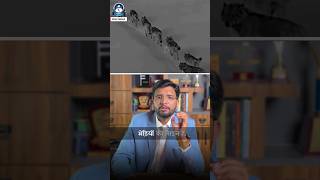 असली लीडर कौन होता है? 🤔 | Wolf Pack Leadership Story || Jitendra Prajapati
