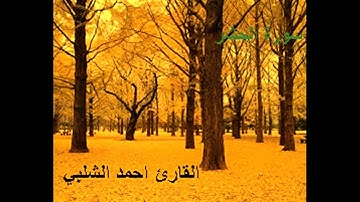 سورة الحشر للقارئ احمد الشلبي