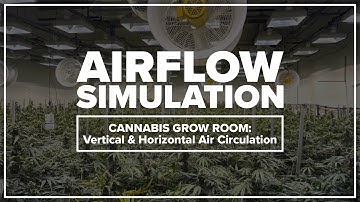 Cannabis Grow Room Airflow Simulation: Vertical and Horizontal Air Circulation | Fluid Dynamics
