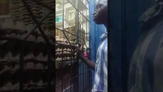mbwembwe za dogo Poti