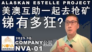 NVA-01澳洲都来帮美国抢着开矿/众股皆跌，我爆涨！锑有多缺？值得投资吗？#美股 #trading #money #mine