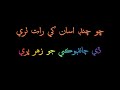 Sindhi Sad aesthetics poetry #2lines #poetry #lines #subscribeformore
