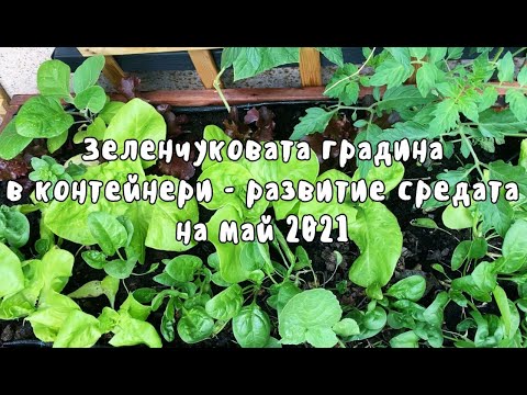 Видео: Градинарство в контейнери - отглеждане на зеленчуци в контейнери