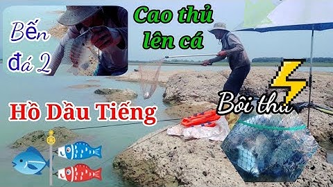 Khám phá câu cá bải đá số 2 bến quỷnh hồ dầu tiếng giật cá mỏi tay luôn @caudaotv7173