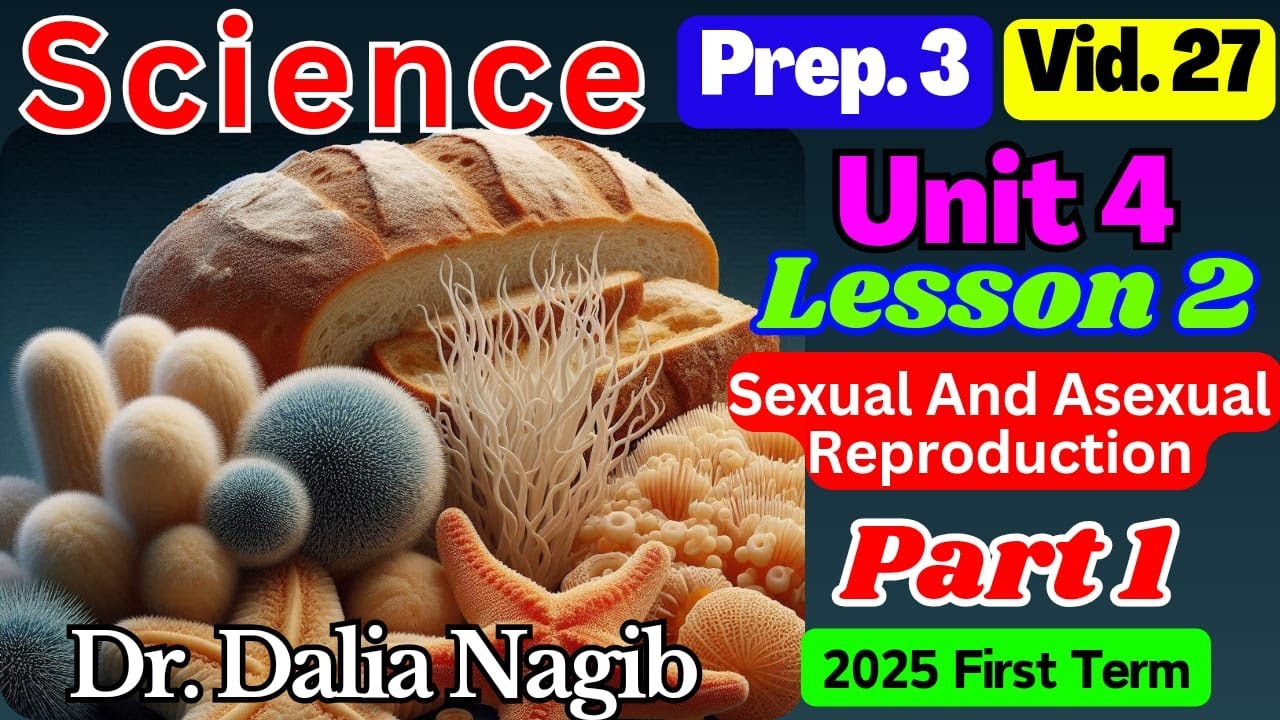 ساينس تالته اعدادي ترم اول  - 𝐒𝐜𝐢𝐞𝐧𝐜𝐞 𝐏𝐫𝐞𝐩 𝟑 𝐔𝐧𝐢𝐭 𝟒 𝐋𝐞𝐬𝐬𝐨𝐧 𝟐 𝐒𝐞𝐱𝐮𝐚𝐥 & 𝐀𝐬𝐞𝐱𝐮𝐚𝐥 𝐑𝐞𝐩𝐫𝐨𝐝𝐮𝐜𝐭𝐢𝐨𝐧   𝐏𝐚𝐫𝐭 𝟏