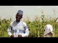 HAFYDOF BAUCHI SONG