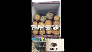 #Yellow Pine Gali One container is available in Karachi Doors  Aluminium Traders#timbermarketkarachi