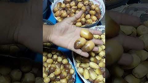 اصناف تمور العراق 😍