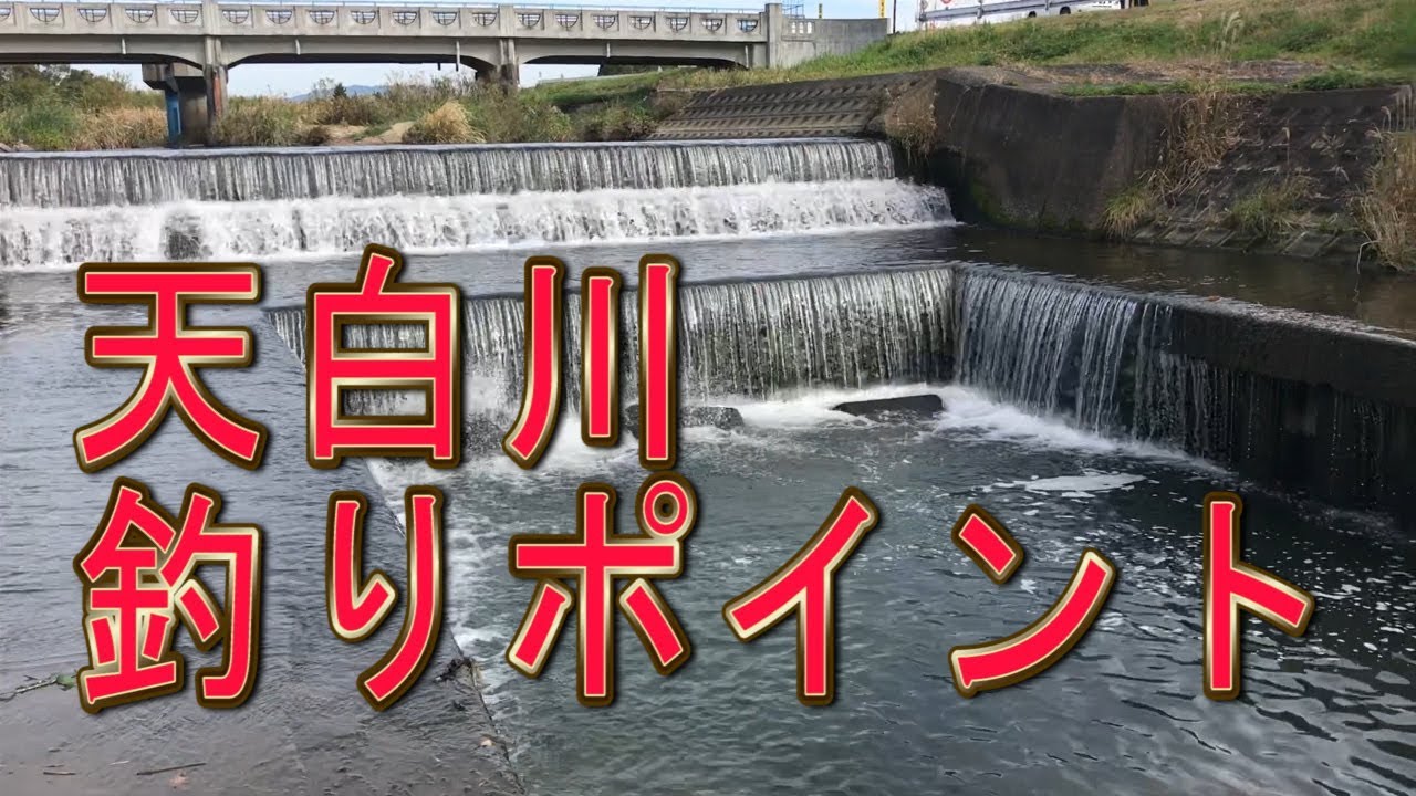 天白川 小魚 鯉釣りポイント 堤防 愛知県釣りポイント Youtube