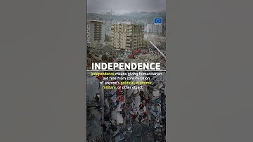 What are the 4 humanitarian principles?