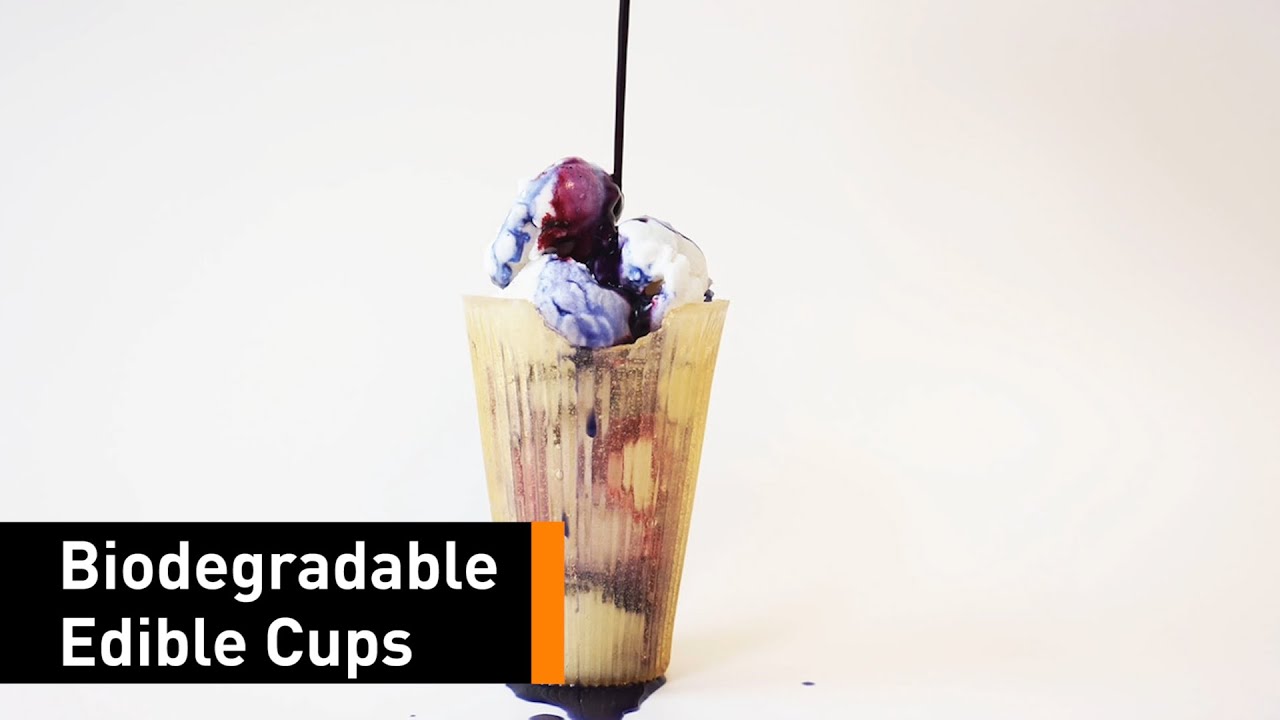 Loliware The First And Only Biodegr(edible) Cups YouTube