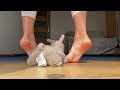 Forget Foot Pain || These Exercises Work After 50