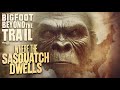 Where the sasquatch dwells bigfoot beyond the trail new bigfoot eyewitness documentary