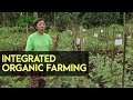 Integrated Organic Farming System: Farmers Group in Lucban Quezon into Organic Farming