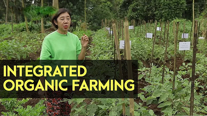 Integrated Organic Farming System: Farmers Group in Lucban Quezon into Organic Farming