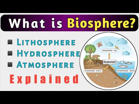 What is Biosphere || components of Biosphere || [English]