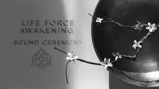 LIFE FORCE AWAKENING || SOUND CEREMONY || Live Sound healing