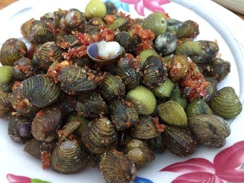 hến phơi bầy muối hạt ớt đặc sản nổi tiếng vùng quê nha #tiktok #xuhuong #xuhuongtiktok ...