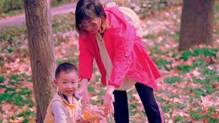 Nanjing's Autumn - 南京秋天