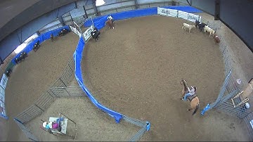 Big Sky Ranch Sorting Saddle Series #5 - #3 - Round #1 - Ride #6
