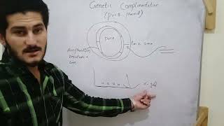 Pvc8 plasmid genetic complementation by undefined learning with simple way
