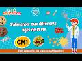 S’alimenter aux différents âges de la vie - Cm1– Edith Eprouvette: Leçon, Exercices, Évaluation