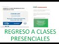 REGRESO A CLASES PRESENCIALES ULTIMAS NOTICIAS